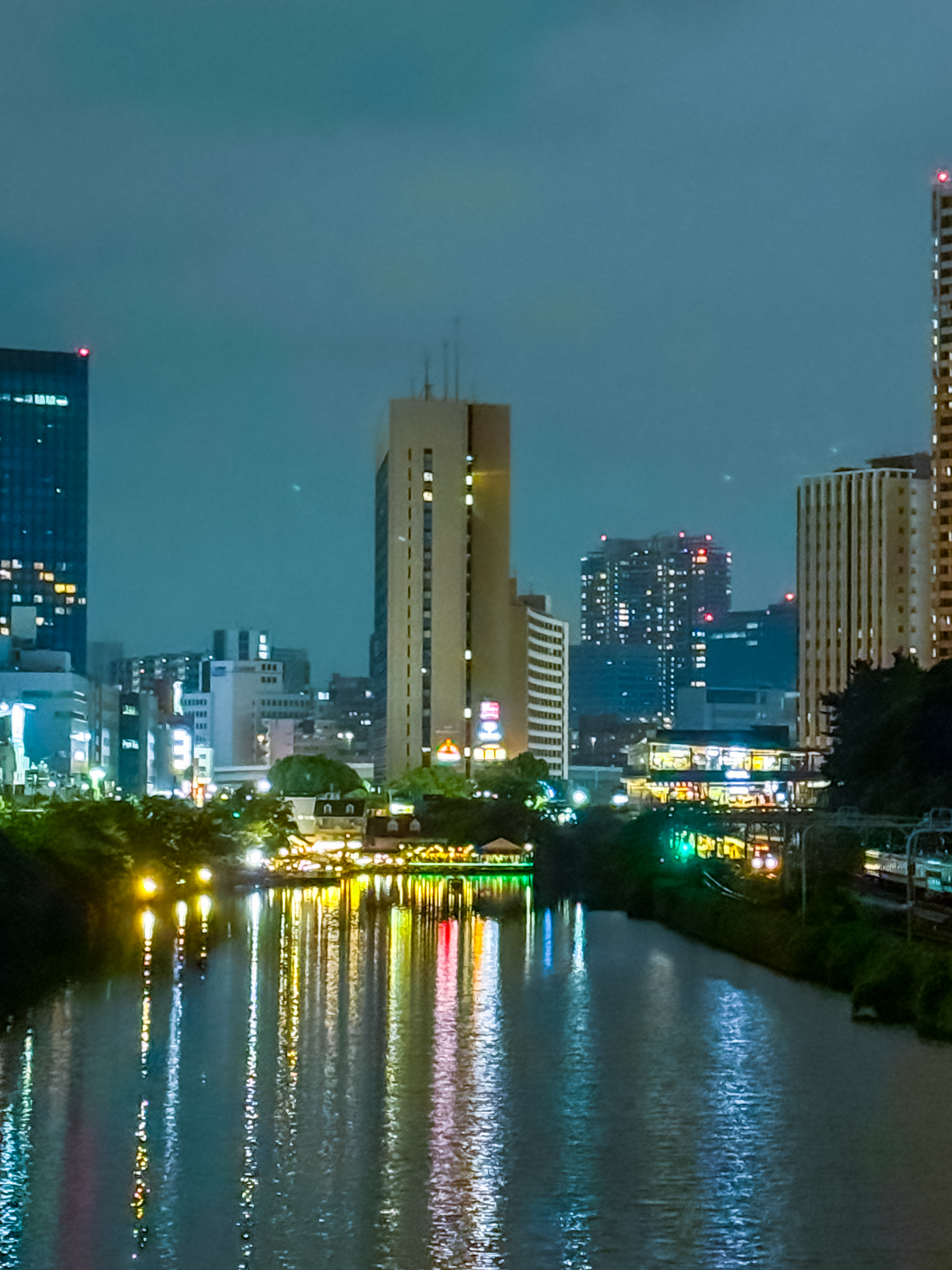 日本での10年以上で、私は何を得て、何を失ったのか